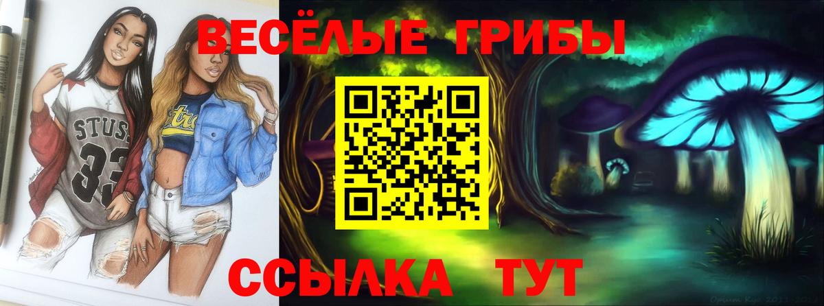 Псилоцибиновые грибы MAGIC MUSHROOMS  Вход с VPN  Грозный 