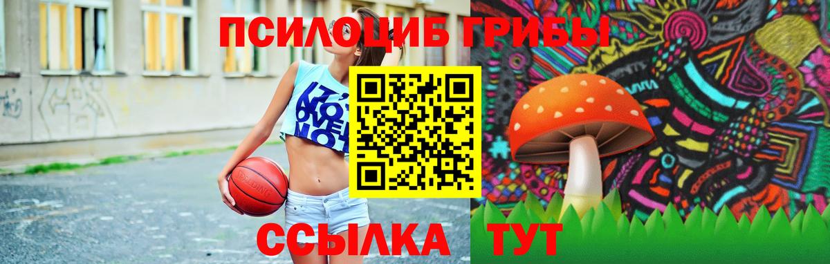 Галлюциногенные грибы Psilocybine cubensis Грозный